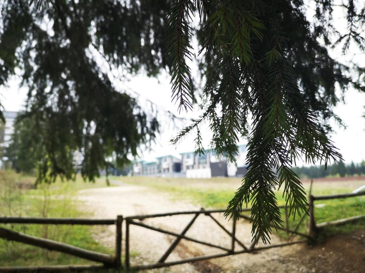 The Evergreen Nest - Silver Mountain Poiana Brašov Exteriér fotografie