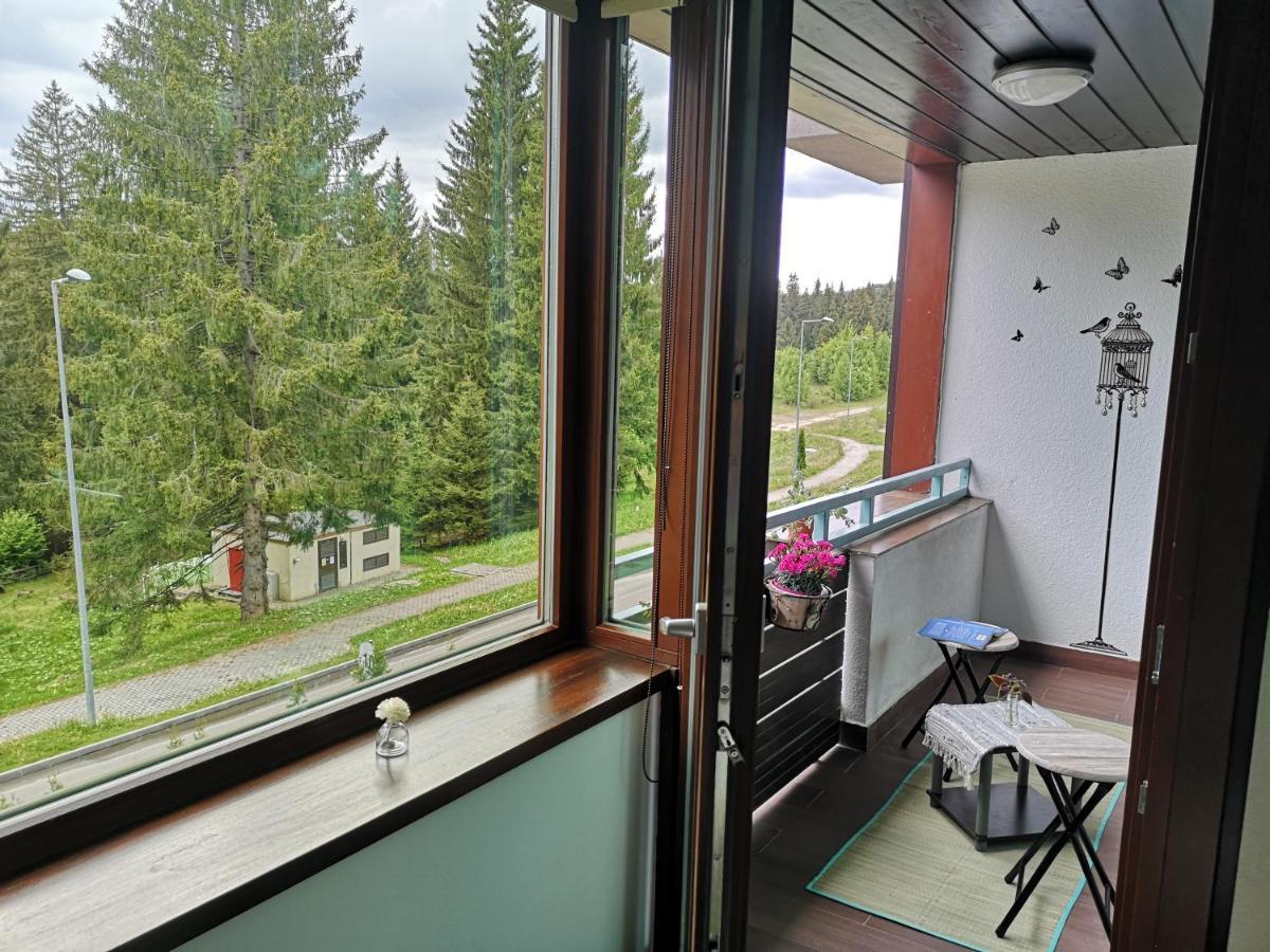 The Evergreen Nest - Silver Mountain Poiana Brašov Exteriér fotografie