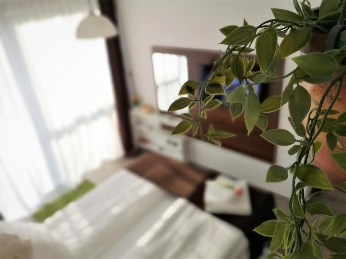 The Evergreen Nest - Silver Mountain Poiana Brašov Exteriér fotografie