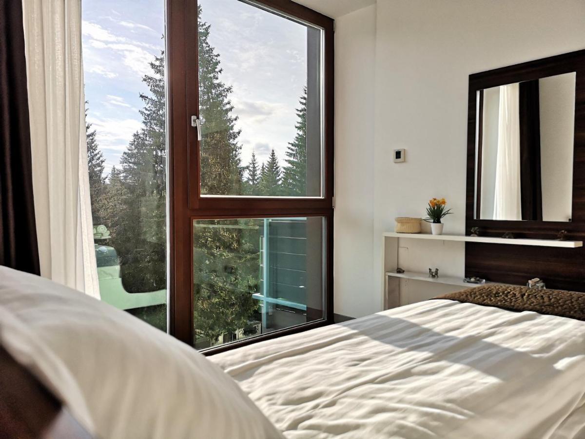 The Evergreen Nest - Silver Mountain Poiana Brašov Exteriér fotografie