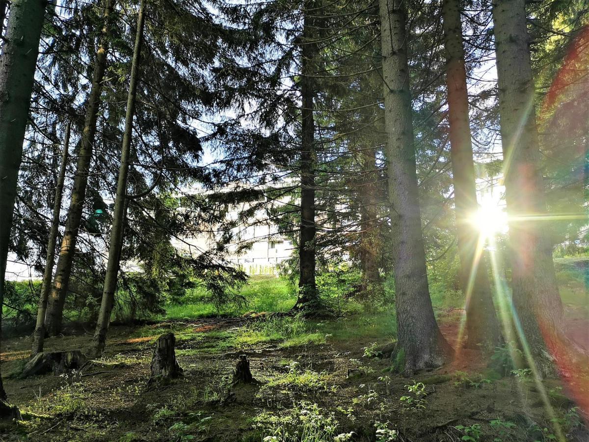 The Evergreen Nest - Silver Mountain Poiana Brašov Exteriér fotografie