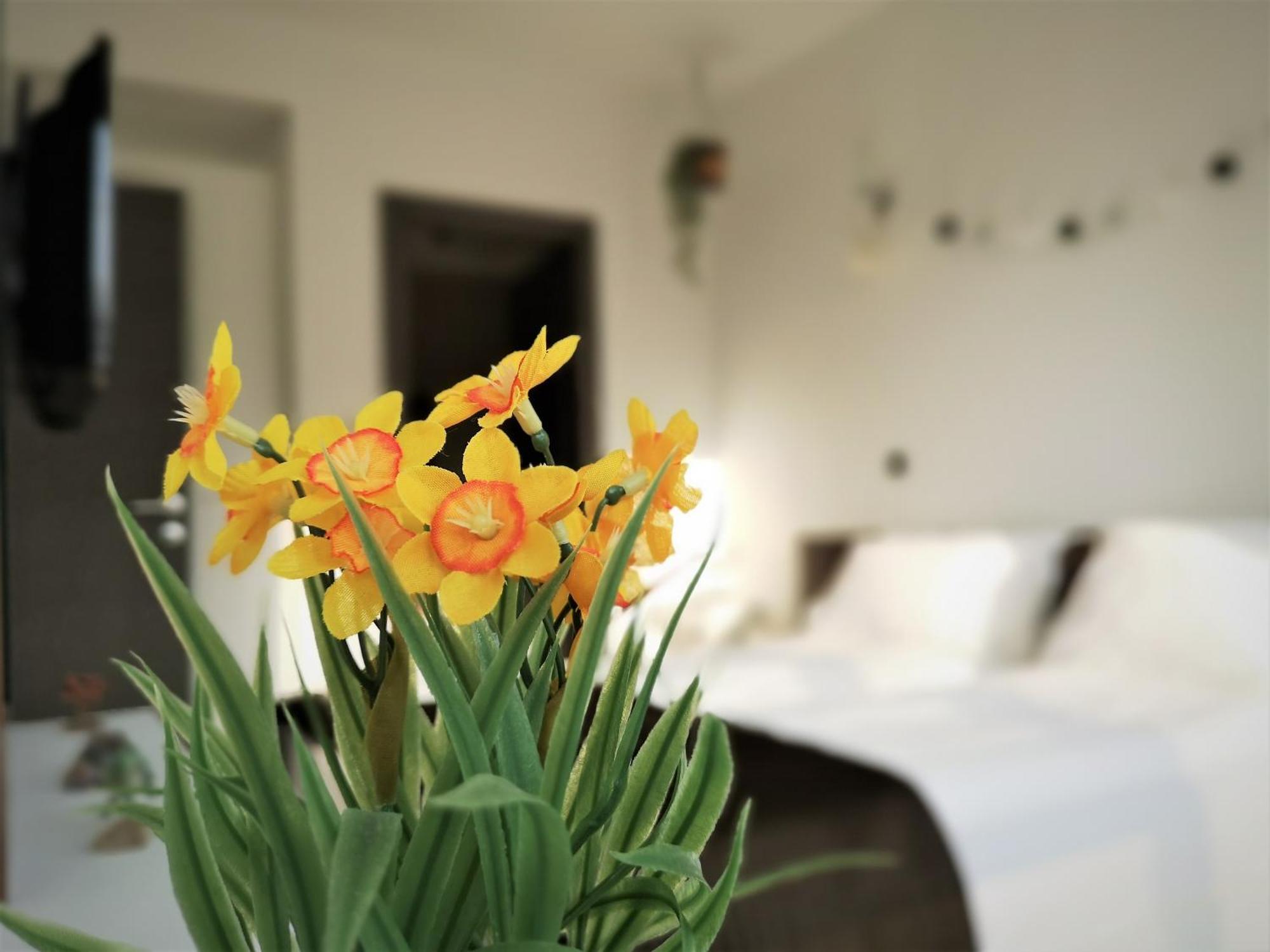The Evergreen Nest - Silver Mountain Poiana Brašov Pokoj fotografie