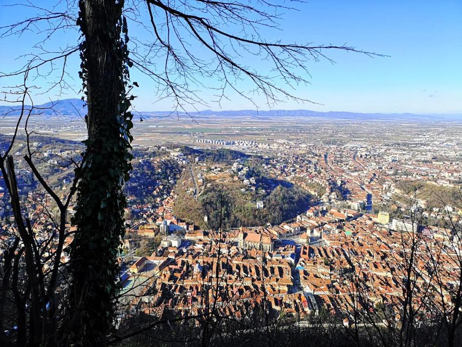 The Evergreen Nest - Silver Mountain Poiana Brašov Pokoj fotografie